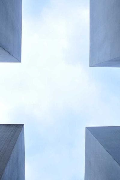 Cover of APEX Protocol